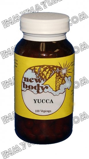 Yucca (Yucca)