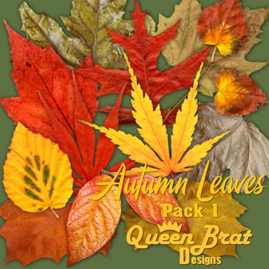 Autumn Leaves Pack 1