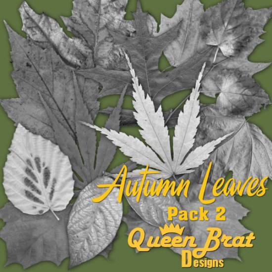 Autumn Leaves Pack 2