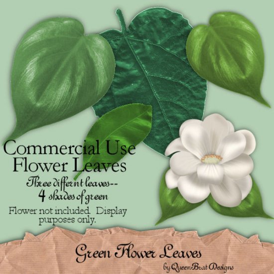 Green Flower Leaves