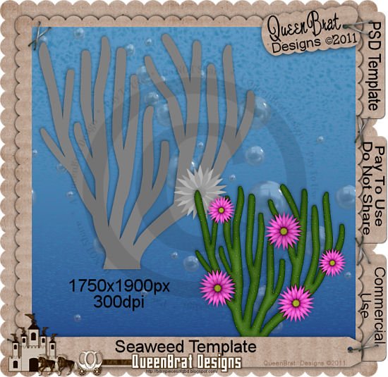 Seaweed Template