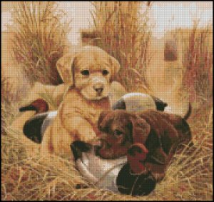 Cross Stitch Patterns - Dogs - Yellow Golden Labrador Retriever