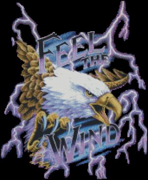 Catherine's Eagle Project - Submit an Entry: Cross Stitch Projects