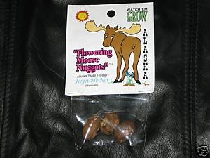 Alaskan Organic Flowering Moose Nuggets Forget-Me-Nots Gag Gift