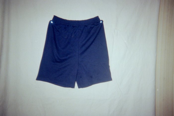 Boys Blue Sport Elastic Waist Shorts Size 4T