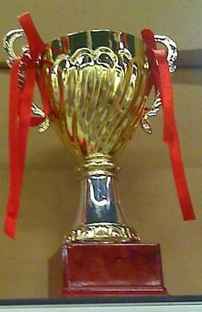 10" GOLD TONE Quality METAL TROPHY Reward CUP Sport