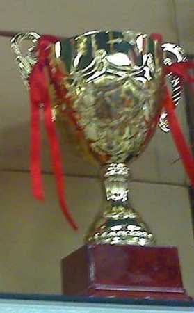 10.75" GOLD TONE Quality METAL TROPHY Reward CUP Sport