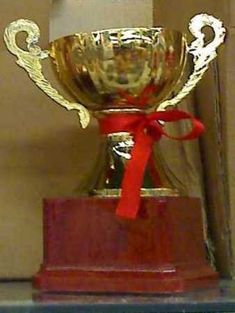 6.25" GOLD TONE METAL TROPHY Reward CUP Sport FREE SHIP