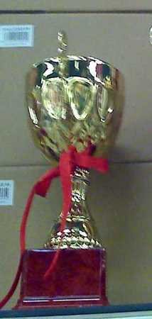 9" GOLD TONE METAL TROPHY Reward CUP Sport FREE SHIP