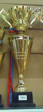 17.5" GOLD TONE METAL TROPHY Reward CUP Sport FREE SHIP