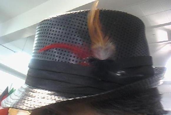 Black Straw with Feathers Fedora Unisex One Size Hat