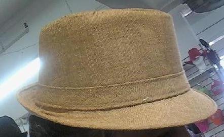 Beige Fedora Unisex One Size Hat