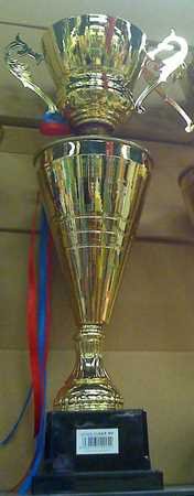 23.5" GOLD TONE METAL TROPHY Reward CUP Sport FREE SHIP