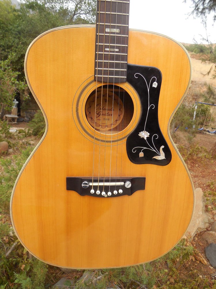 Vintage 1970's Orlando Acoustic Rosewood Guitar model 306