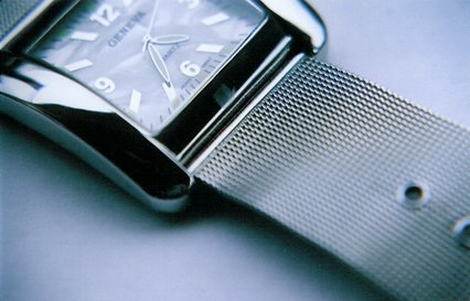 mesh watch