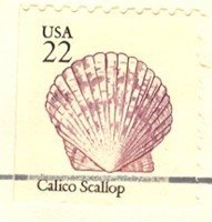 Calico Scallop 22 cent Stamp Seashells Booklet Issue FDI SC 2120 First Day Issue