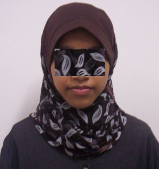 New~1pc Kuwaiti Hijab~Amira~Mona~Muslim/Islamic Head Scarf~Tudung~Kleidung (ID 3361-BrGy)