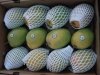 Kesar Mango