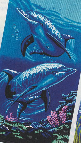 Dolphin Beach Towel