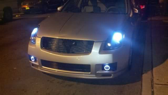 2004-2008 Nissan Maxima Halo Fog Lamps Angel Eye Lights Kit A34