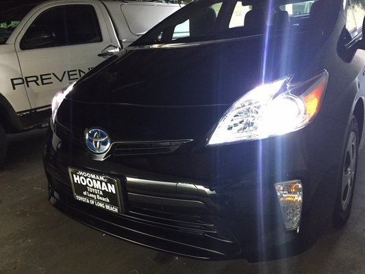 Toyota Prius HID Simulated Head Lamp Halogen Light Bulbs Set