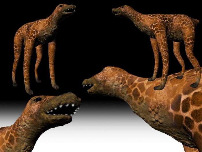 Fow(pronounced like cow) 3d model