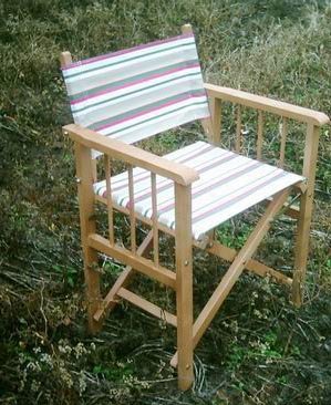director chair