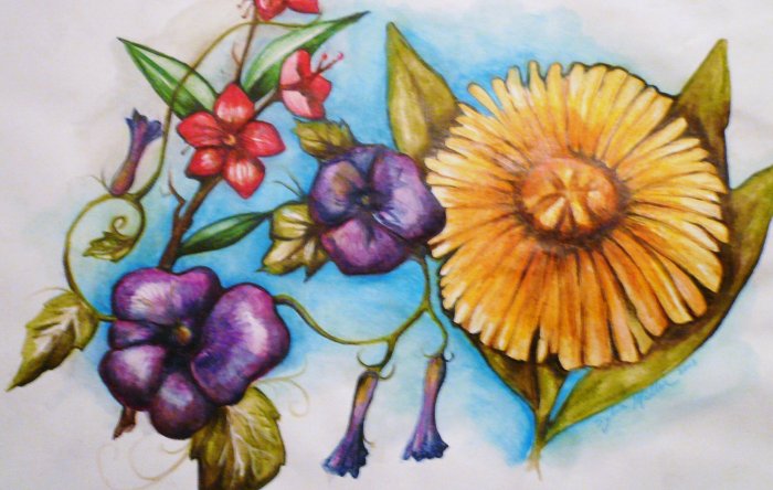Tittle ~ Morning Glory Tangle ~ water color mix medium ~ art by Sylvia Lizaraga