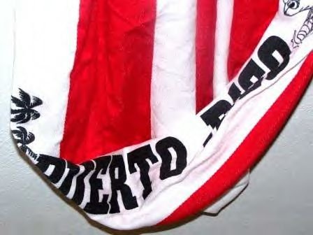 puerto rican flag hammock