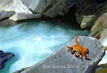 "red crab" - original acrylic painting