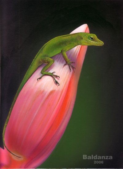 "Green lizard" - original acrylic painting