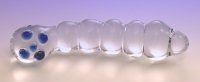 Pyrex Glass Millipede Dildo