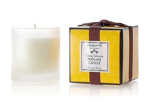 Citrus Vervain Perfume Candle by elizabeth w