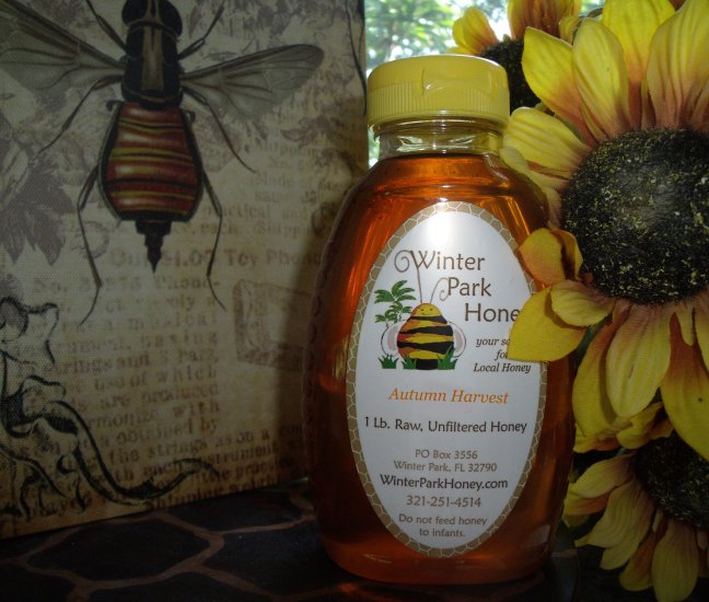 1 Lb Autumn Harvest Honey (raw, unfiltered and unprocessed)