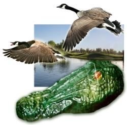 Bird-X Gator Guard