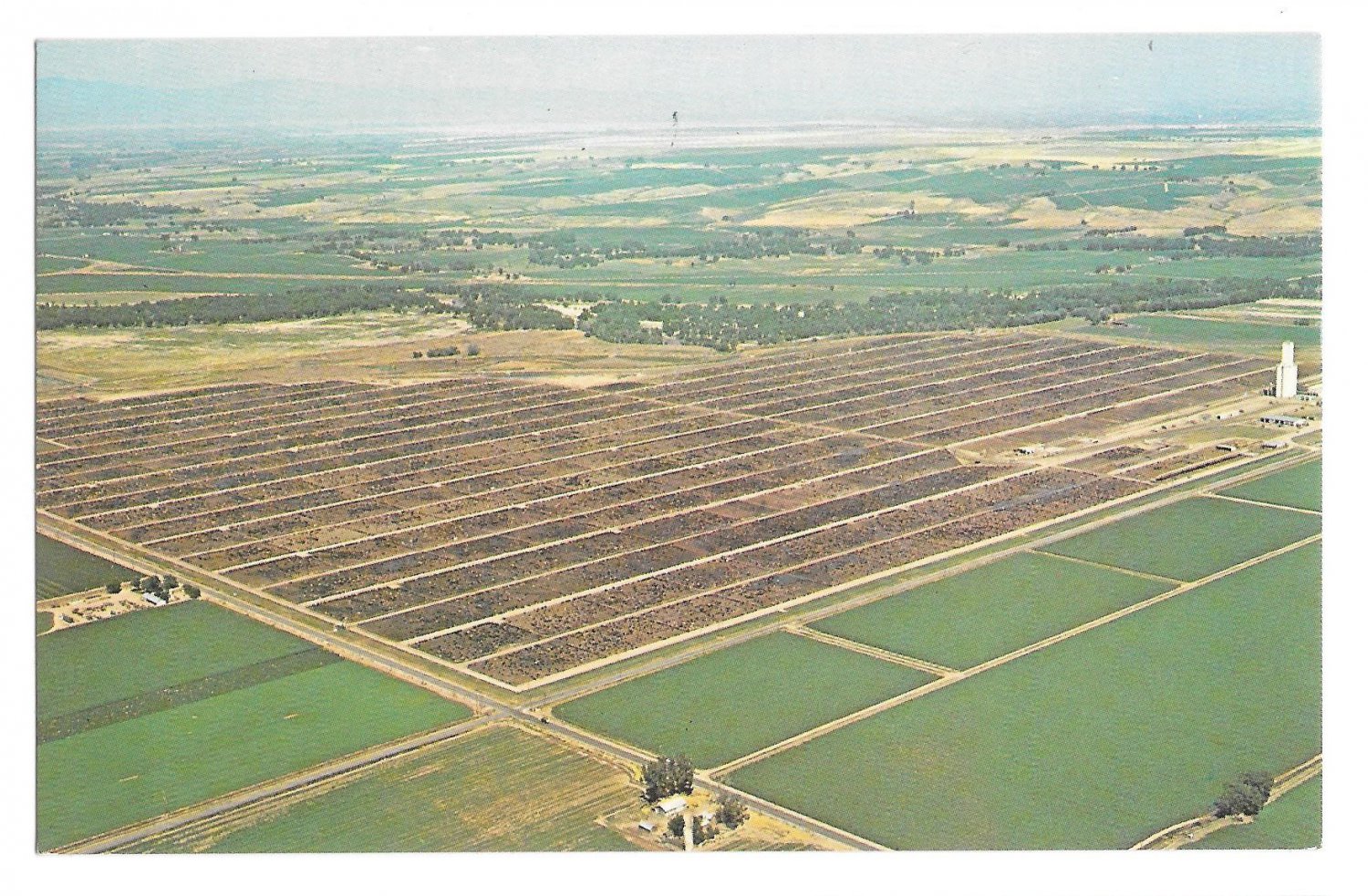 Greeley CO Monfort Gilcrest Cattle Feedlot Aerial View Vtg Lew Dakan ...