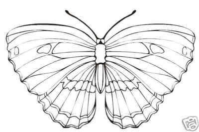 Collection of BUTTERFLIES Printable Images 105 Pages