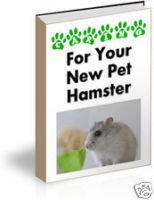 How To Guide Caring for your New Pet Hamster