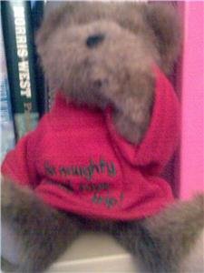 CHRISTMAS BOYD BEAR WITH LOGO FREE GIFT BAG