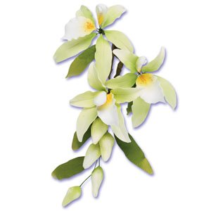 3 x DELUXE Militonia Flavercens Sugar Gum Paste Flower Wedding Cake Display Toppers