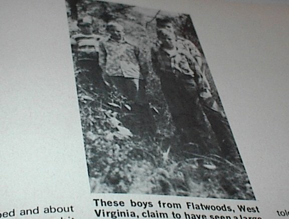 In Search Of Lindbergh Baby (Paperback) Black & White Photos (Original)