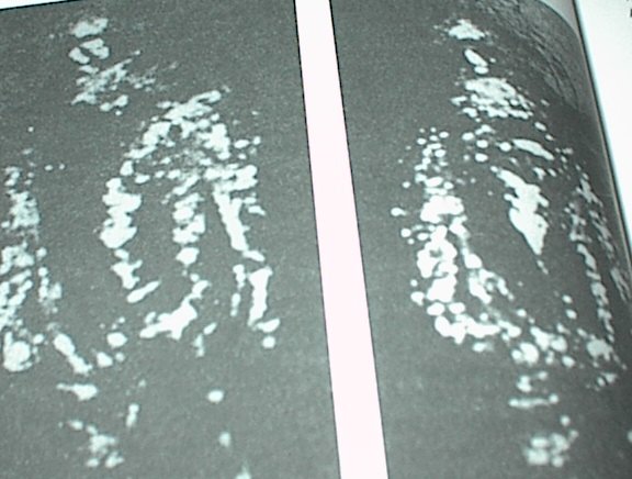 Beyond Earth: Man's Contact With UFOs (Paperpack) Black & White Photos