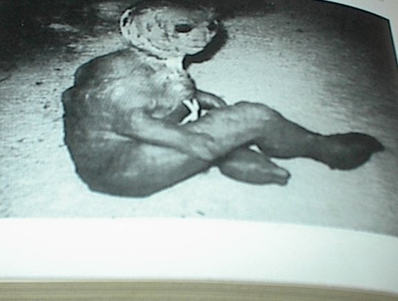 Monster Of Loch Ness (Paperback) Black & White Photos (Original)