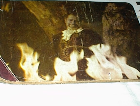 Amityville Horror (Paperback)