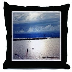 New Throw Pillow with water Art