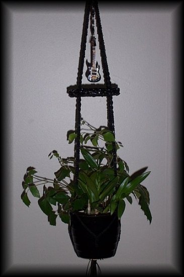 Guitar & Onyx Plant Hanger