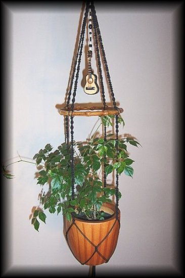 Acoustic Guitar and Wood Plant Hanger