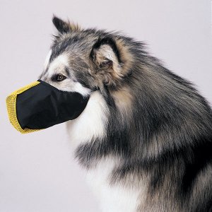 Pro-Guard Softie Muzzles for Dogs Medium (15) = Orange Fits snouts 9 1/2’