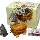 1 left - Mini Planter Pot & Seed & Soil Set - Sweet Alyssum - Totoro - out of production (new)