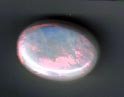 Extra Large Pendant or Broach Size